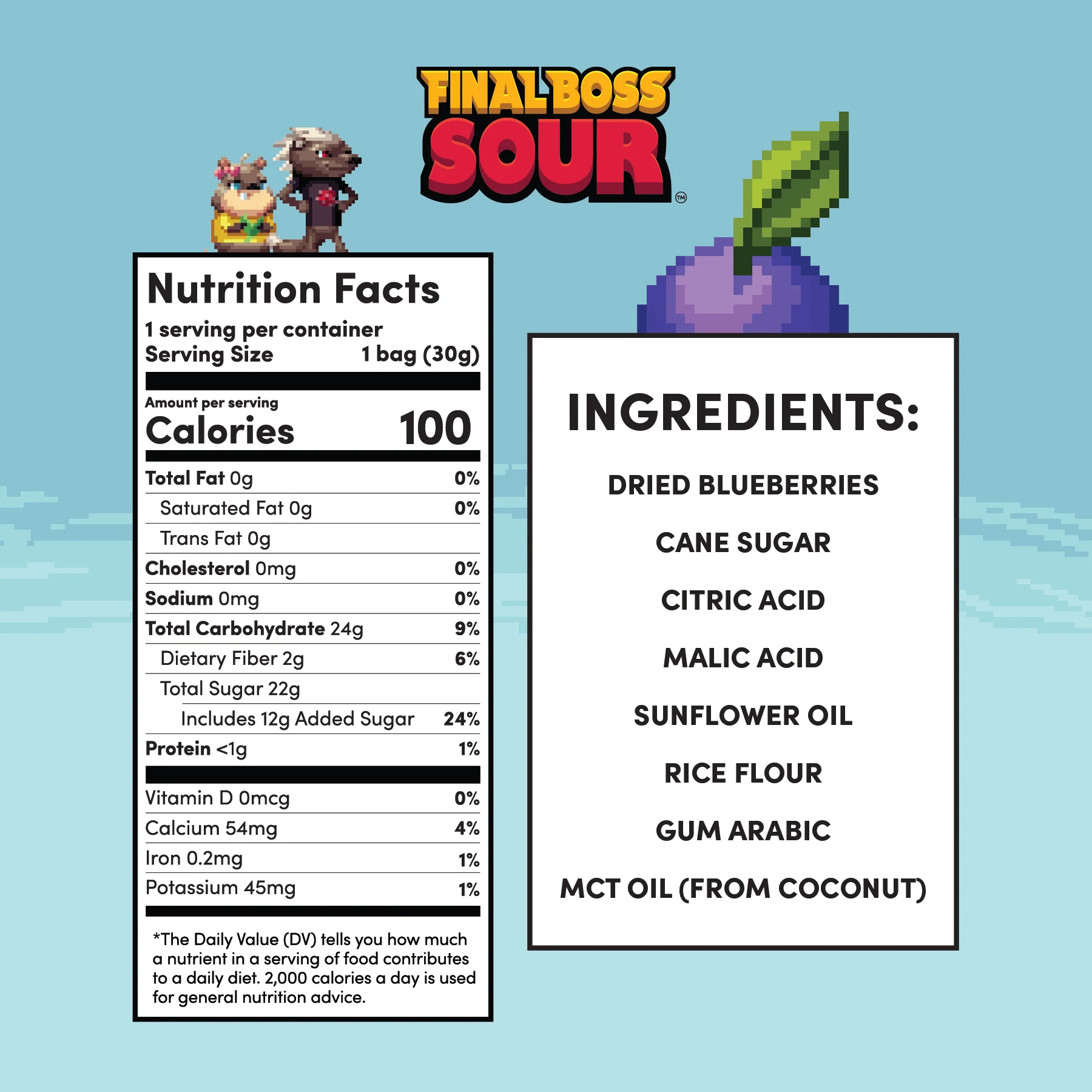 Level 1 Blueberries (24 Pack) - Image 3