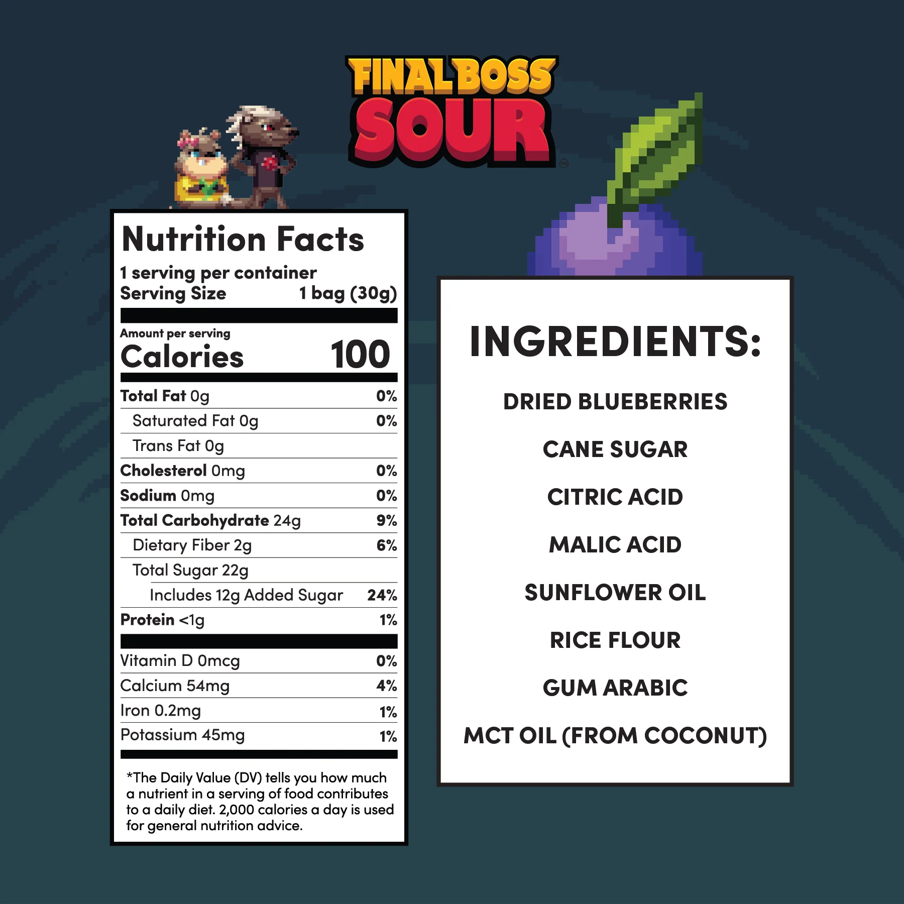 Level 3 Blueberries (24 Pack) - Image 3